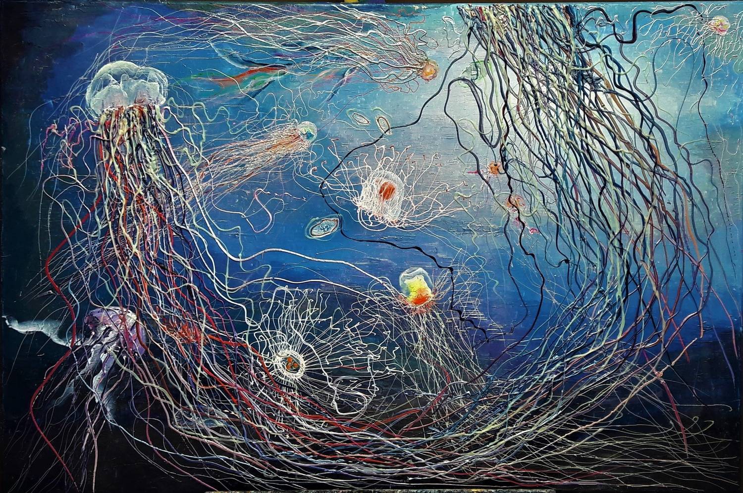 meduzy v pohybe